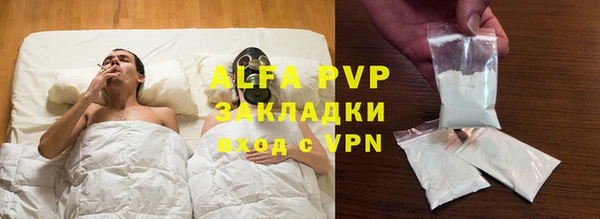 прущие грибы Красноперекопск