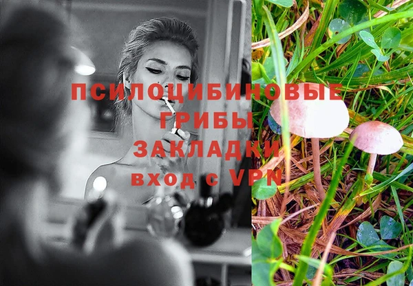 Альфа ПВП Кулебаки