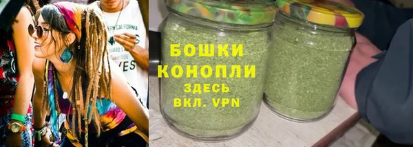 гашиш Богданович