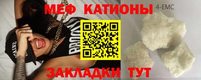 прущие грибы Абакан