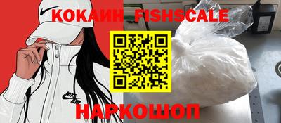 прущие грибы Абакан