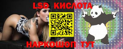 прущие грибы Абакан