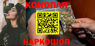 прущие грибы Абакан