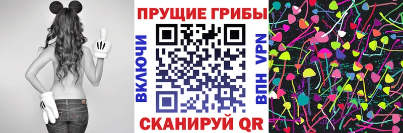 Псилоцибиновые грибы мухоморы ссылка на мегу вход Альметьевск
