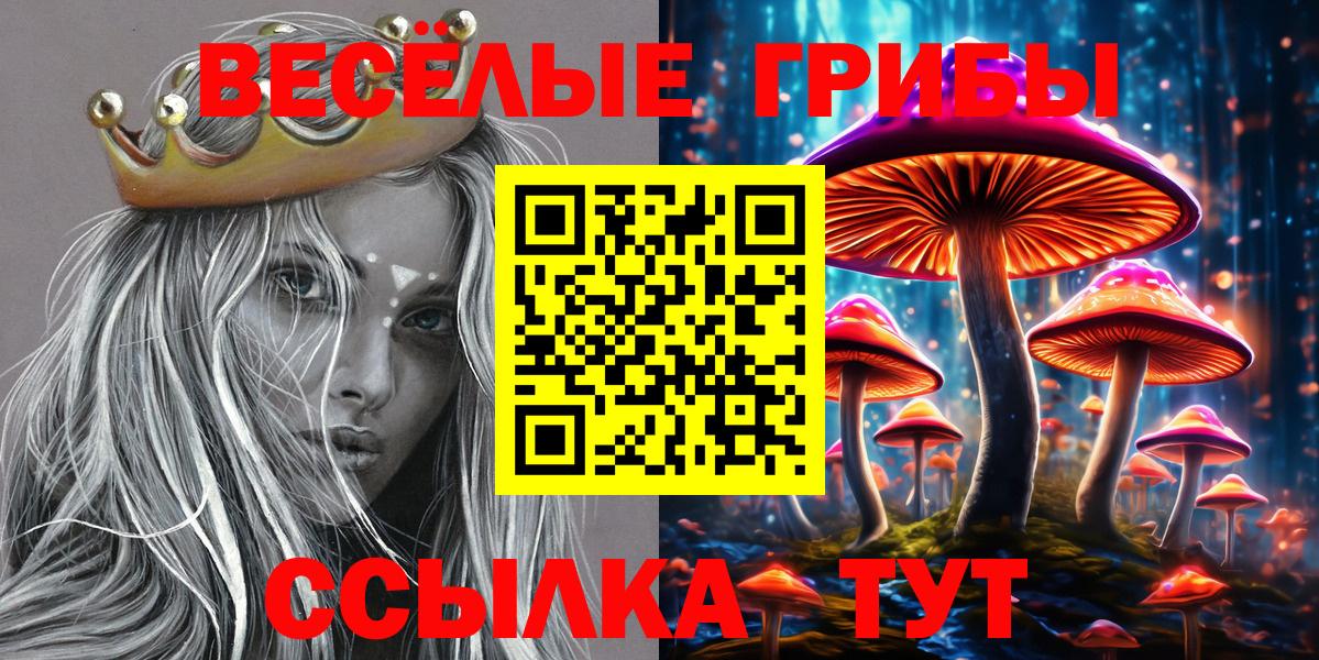 Галлюциногенные грибы Psilocybine cubensis  продажа наркотиков  Альметьевск  Псилоцибиновые грибы Psilocybine cubensis  Вход с VPN 