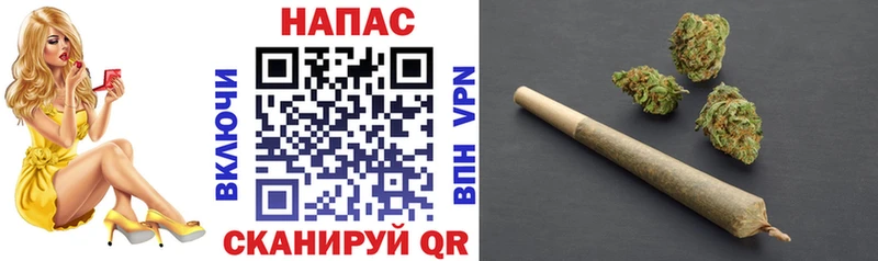 Шишки марихуана семена  Альметьевск 